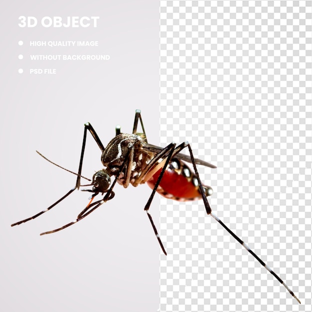 3d, fièvre dengue, maladie transmise par les moustiques, virus
