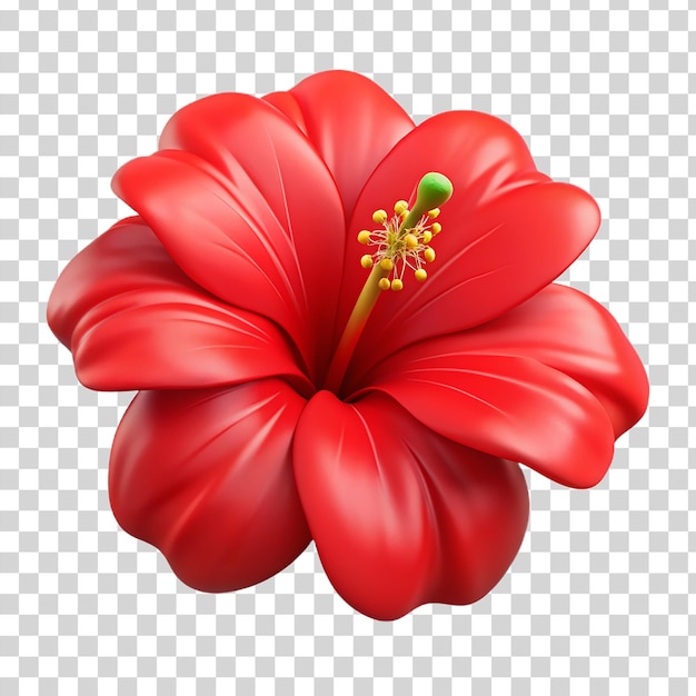 PSD 3d fleur d'hibiscus rouge isolée sur un fond transparent