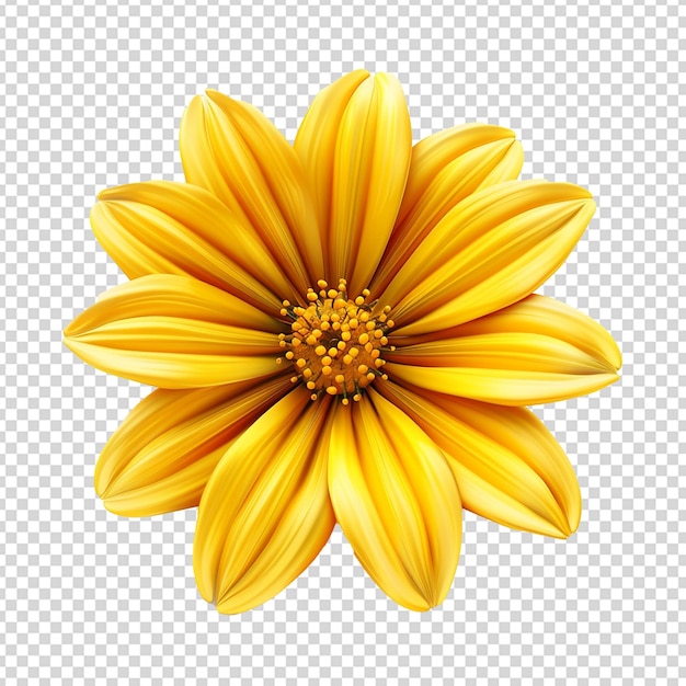 3d flor amarilla png aislada en un fondo transparente