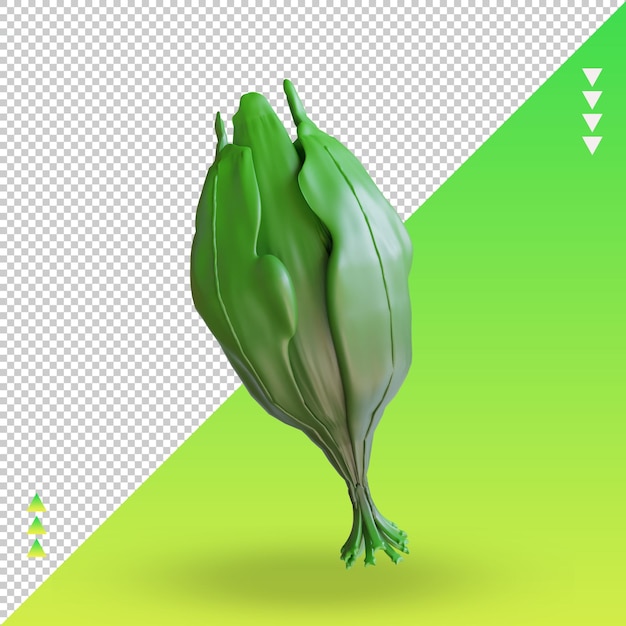 3D-Gemüse-Spinat-Rendering-Vorderansicht