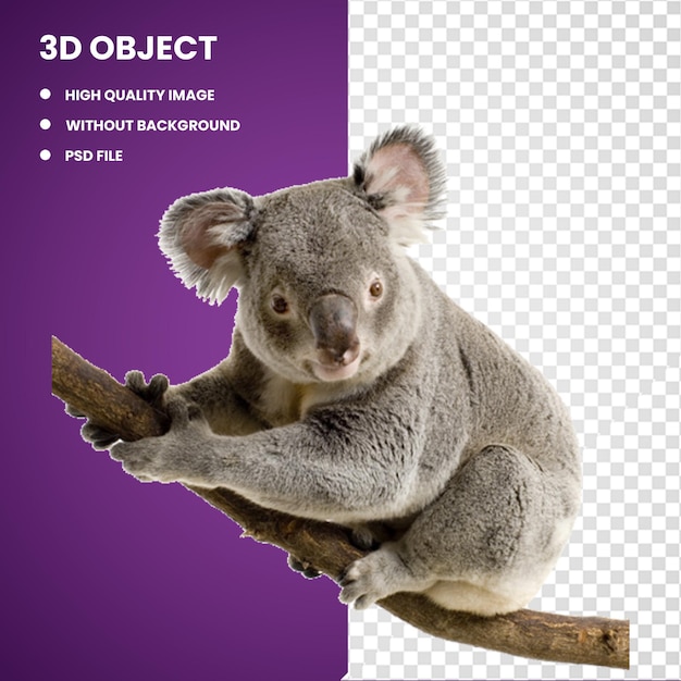 3d-Grauer Koala auf einem Baumzweig