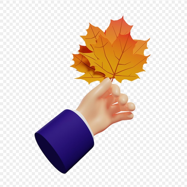 PSD 3d hand holding automne feuilles d'érable illustration isolé rendu 3d