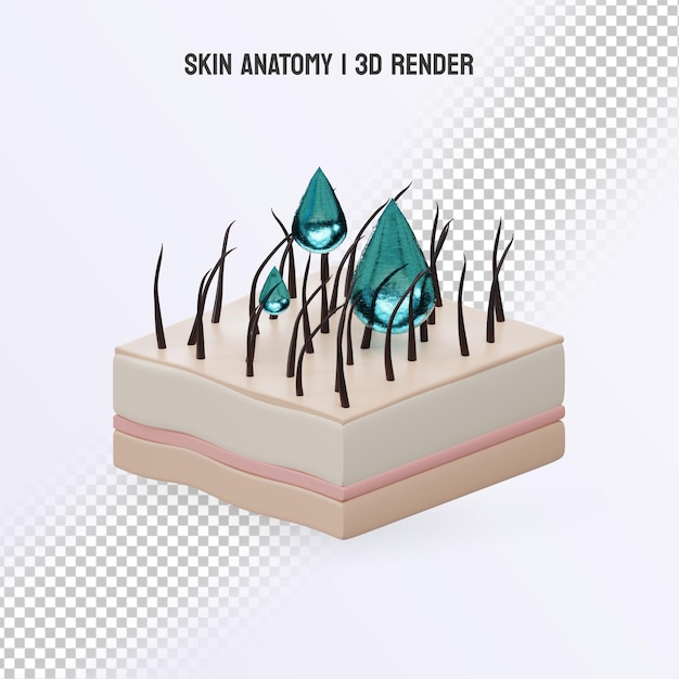 PSD 3d-hautpflege-anatomie realistisch mit wassertropfen auf der zelle