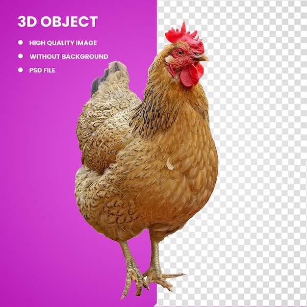 3d hen wuji