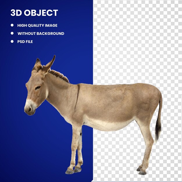 PSD 3d hinny mule (mulo pequeño)