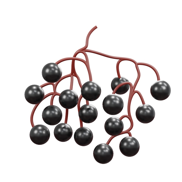 PSD 3d icono mínimo fruta de verano bayas de saúco