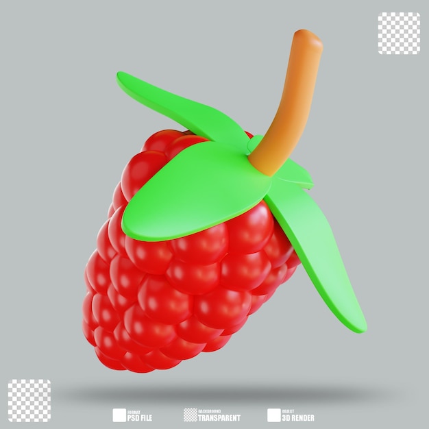 3D-Illustration Himbeere 3