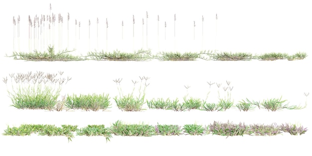 3d illustration of set grass isolated on white background stock photo from top view