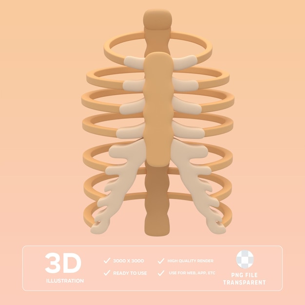 3D-Illustration von PSD-Ribbenknochen