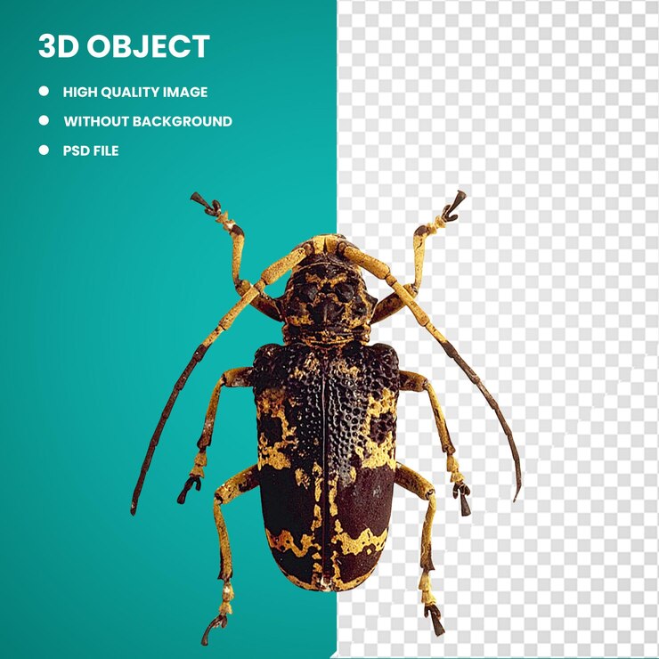 PSD 3d insect longhorn beetle