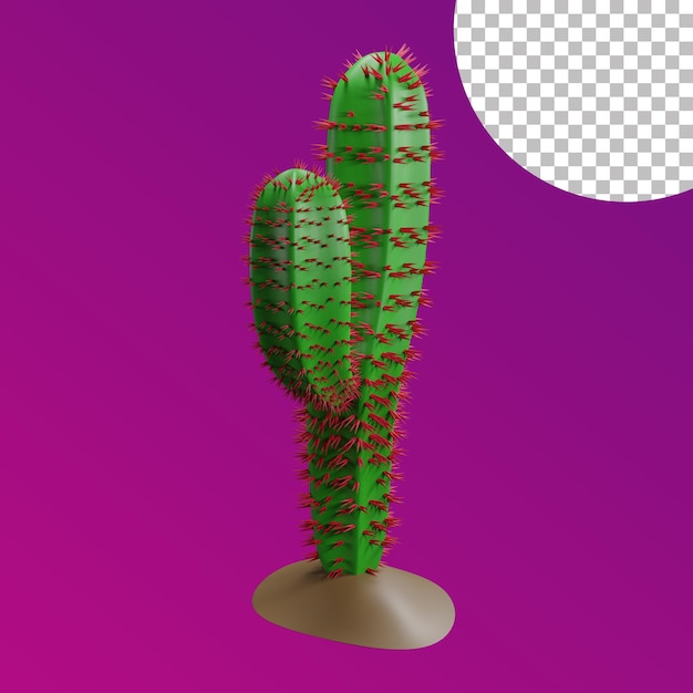 3D-Kaktus