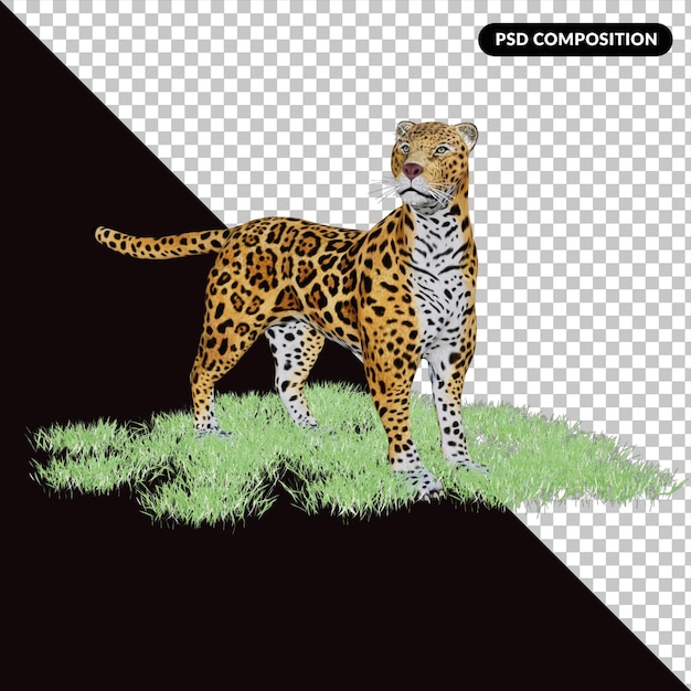 3d, leopardo, ilustración, animal salvaje