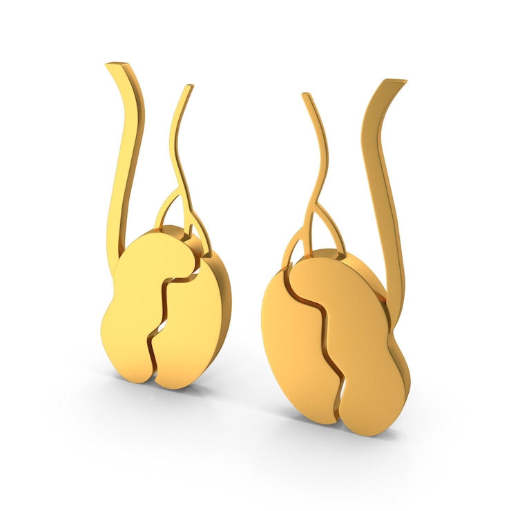 PSD 3d male testicles icon anatomical reproductive health symbol male anatomy concept