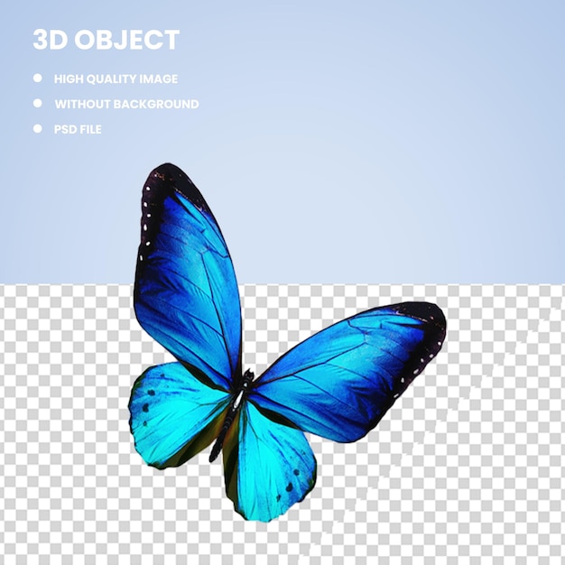 3d mariposa grafía azul