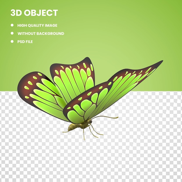 PSD 3d mariposa verde