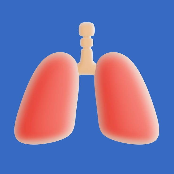 PSD 3d medical icons healthy lungs transparent background psd