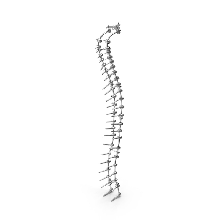 PSD 3d model of human spine