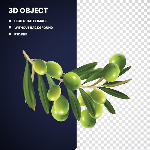 3d Olivenzweiggraphik Alamy Grüne Oliven