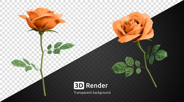 3D orange Rosenblüte