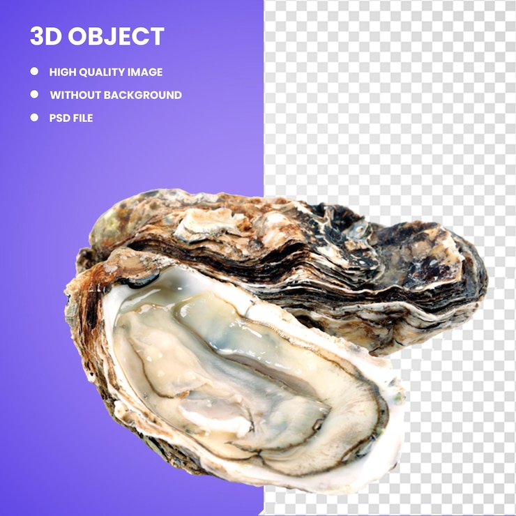 PSD 3d ostras del pacífico alimentos entre cursos mariscos mariscos