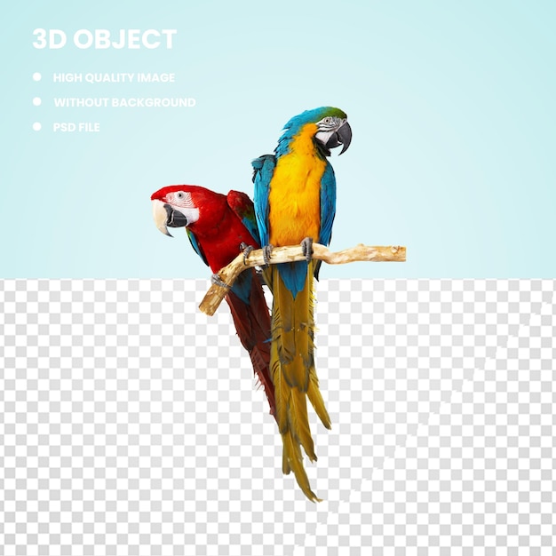 PSD 3d-papageienvogel-ara