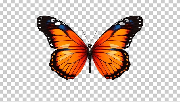 3d Papillon Png Transparent