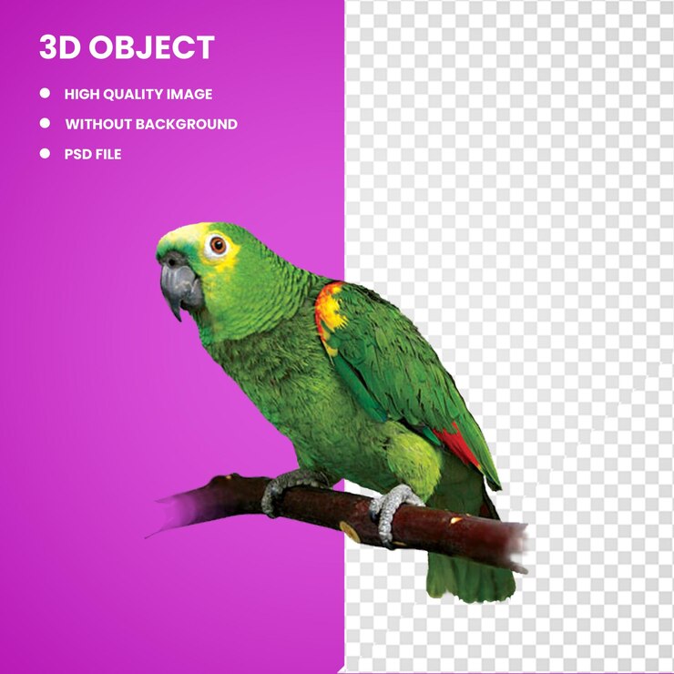 PSD 3d pappagallo lovebird amazzonia rosso lored amazzonia rosso incoronato
