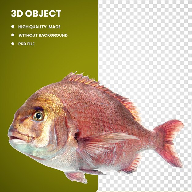 PSD 3d peixes de águas profundas peixes de água salgada