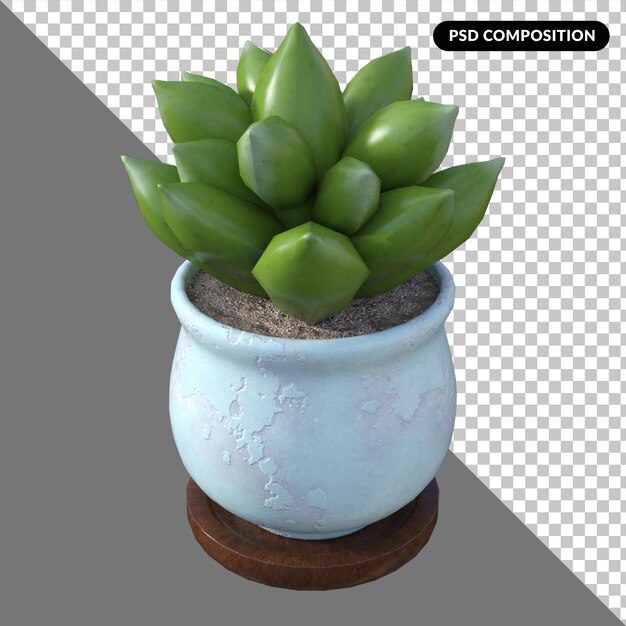3d Planta suculenta isolada