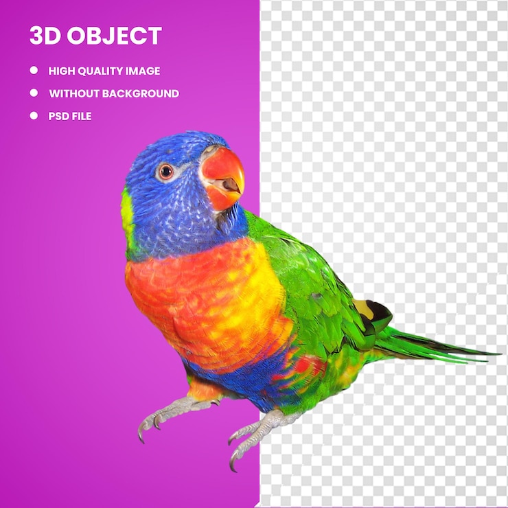 PSD 3d rainbow lorikeet pappagallo uccello budgerigar cane