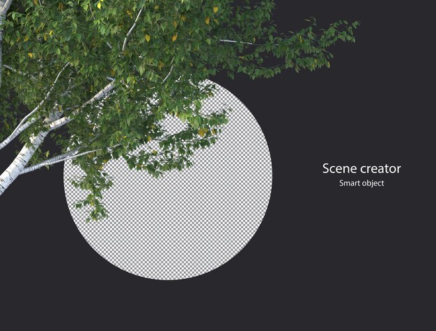3d ramo di albero isolato ramo di albero percorso di ritaglio