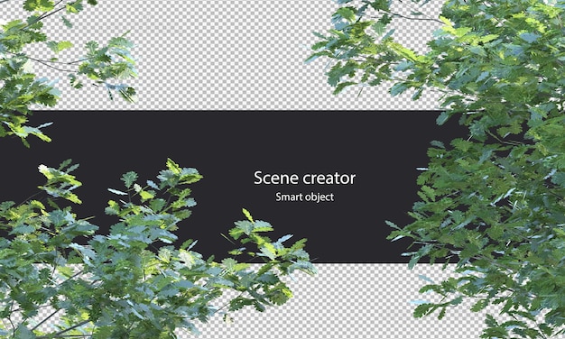 3d ramo di albero isolato ramo di albero percorso di ritaglio