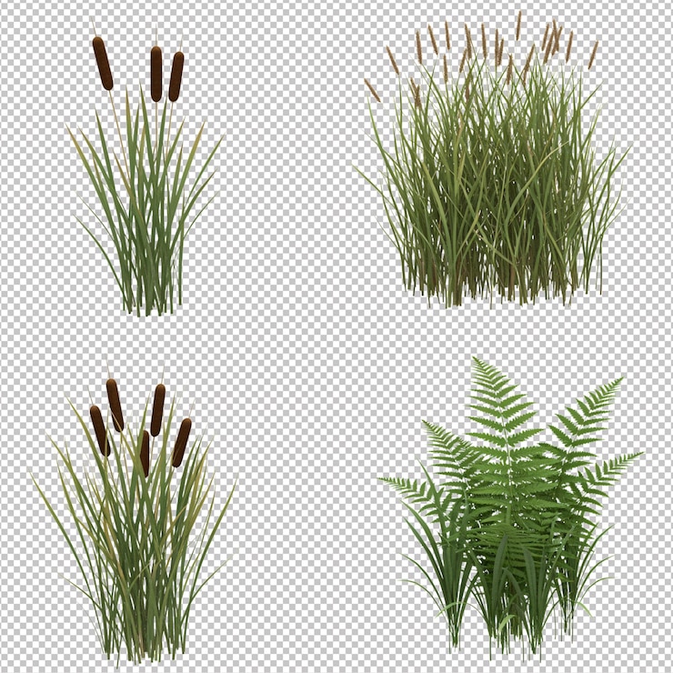 PSD 3d realistic plants