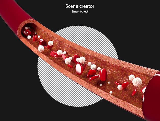 3d Red Blood Cells and white Blood Cells Flowing Through Vein clipping path