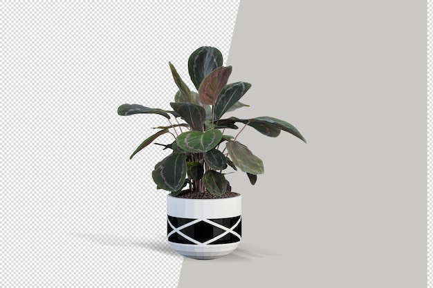 3d render albero pennello isolato