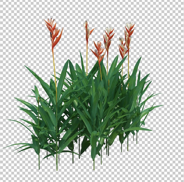 3D Render árbol de cepillo aislado
