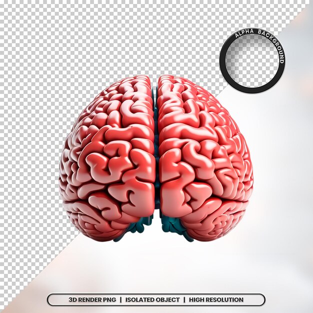 3D Render Brain Neuroscience Element Icon PSD PNG (Iconos de las neurociencias cerebrales en 3D)