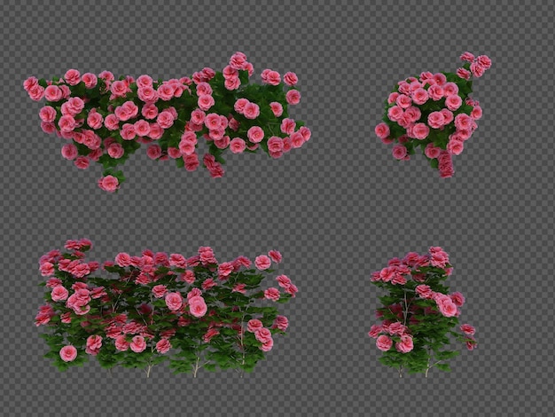 3d Render Brush Tree aislado en blanco