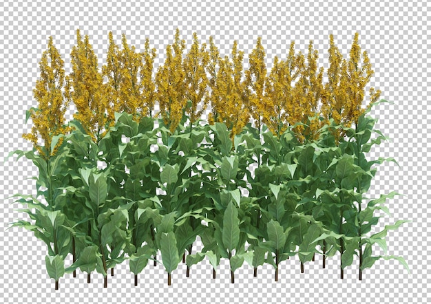 3d render brush tree aislado en blanco