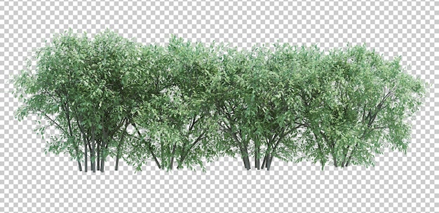 3d Render Brush Tree aislado en blanco