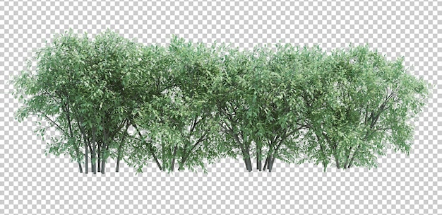 3d render brush tree aislado en blanco