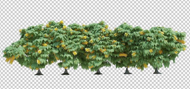 3d Render Brush Tree aislado en blanco