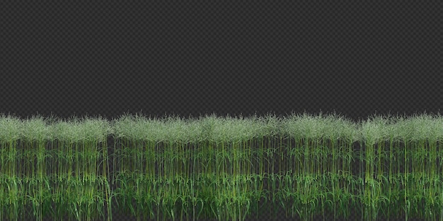 PSD 3d render brush tree aislado en blanco