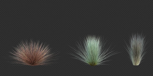 PSD 3d render brush tree aislado en blanco