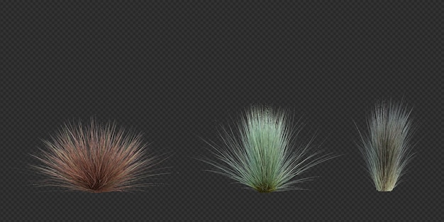 PSD 3d render brush tree aislado en blanco