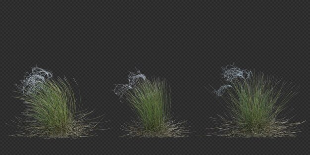 3d Render Brush Tree aislado en blanco