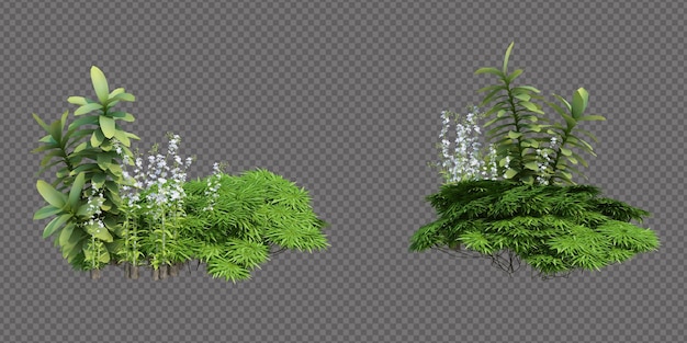 3d Render Brush Tree aislado en blanco