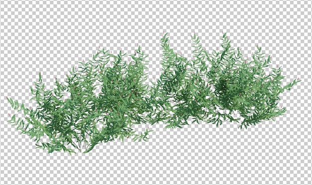 3d render brush tree aislado