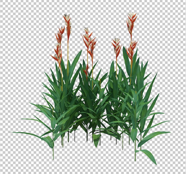 3d Render Brush Tree aislado