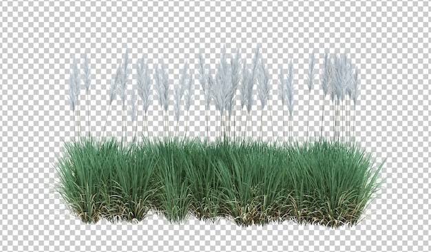 3d render brush tree aislado